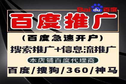 推广竞价实战经验：成功案例分享与启示